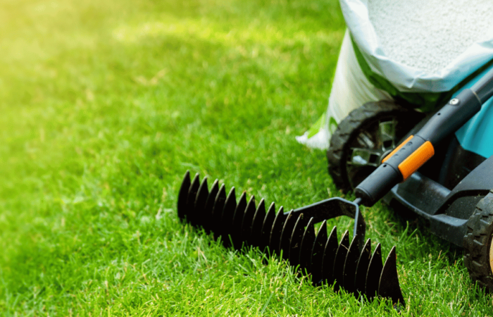 Lawn care image