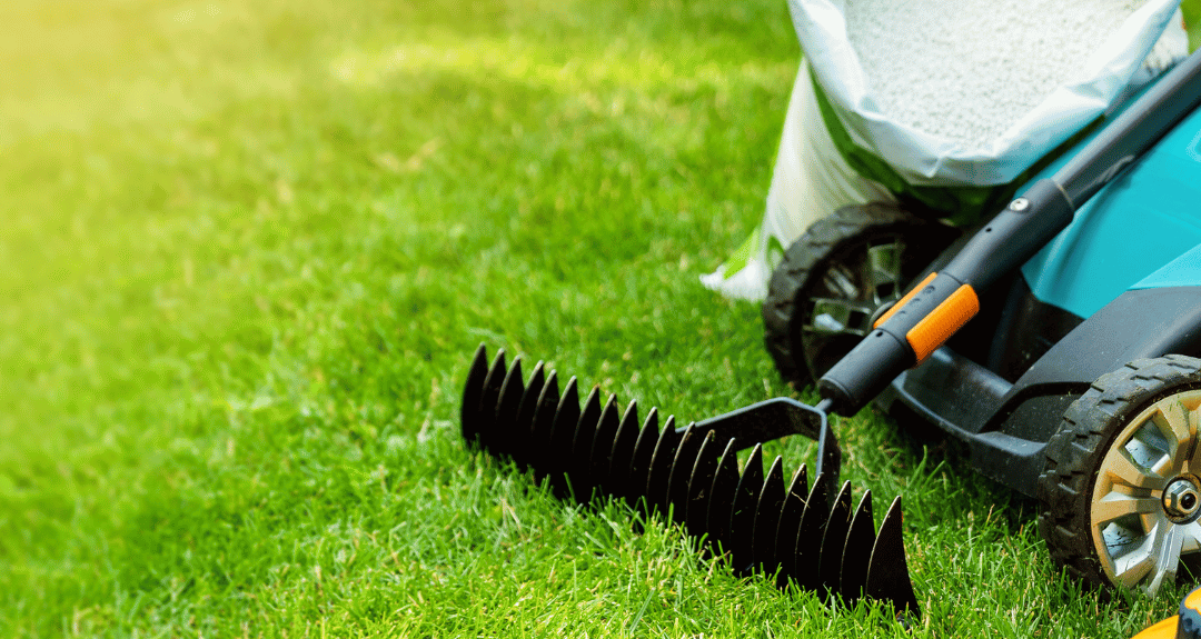 Lawn care image