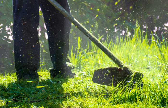 lawn care photo person using a string trimmer
