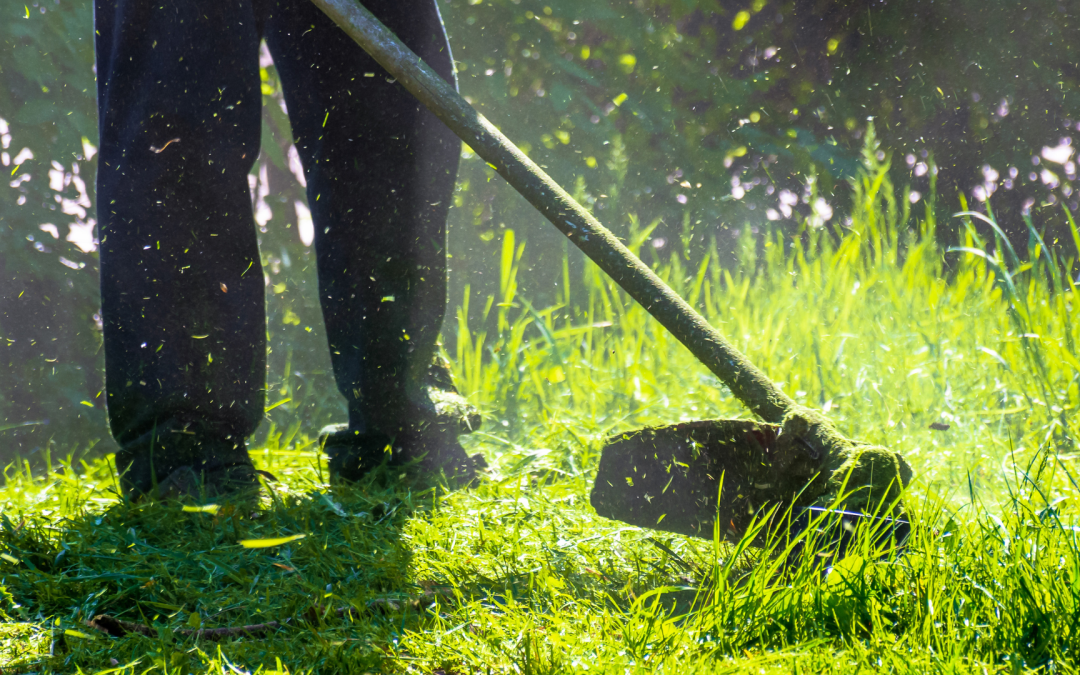 lawn care photo person using a string trimmer