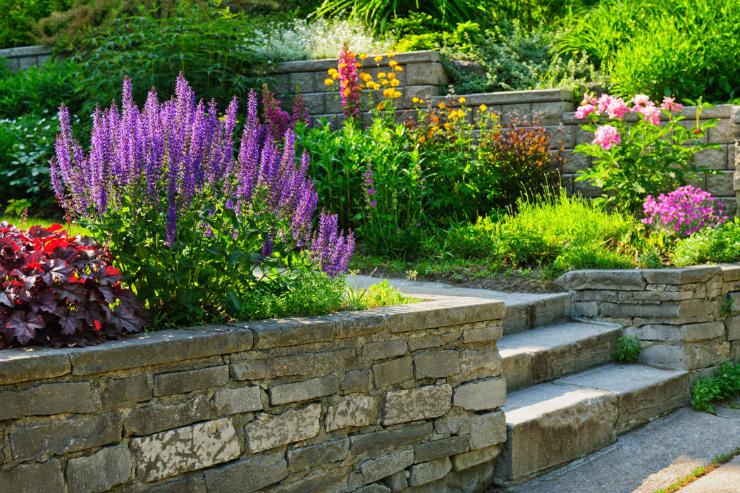 landscaping with stone walkway
