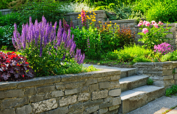 landscaping with stone walkway