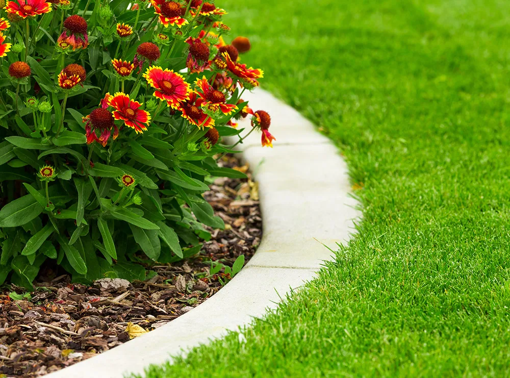 Flower bed and mowed lawn